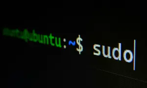 Na ekranie terminala polski linux Ubuntu wyświetla polecenie "sudo".