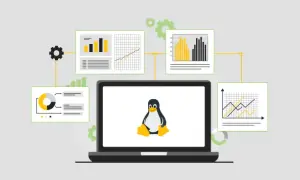 Grafiki i wykresy otaczają laptop z pingwinem Tuxem, symbolizując analizę danych i zasady cyberbezpieczeństwa w systemie Linux.