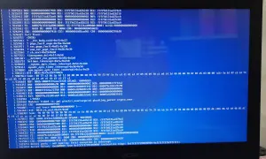 Ekran z niebieskim tłem i białym tekstem, informujący o błędzie "kernel panic". Widoczne są adresy pamięci i rejestry procesora.