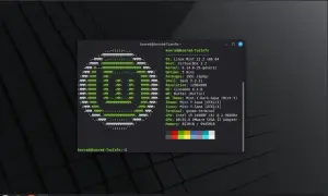 Terminal z informacjami o systemie Linux Mint, idealny do gier. Widać logo Tuxa i szczegóły sprzętu.