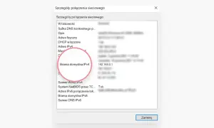 Szczegóły połączenia sieciowego: Brama domyślna IPv4 to 192.168.0.1, adres ip routera.