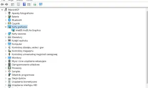 Menedżer urządzeń pokazuje, jak sprawdzić kartę graficzną. Widoczna jest lista urządzeń, w tym "Karty graficzne" z Intel(R) Iris(R) Xe Graphics.