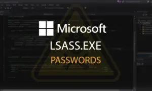 Ostrzeżenie: Proces LSASS.EXE i hasła na tle kodu.