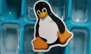 Tux, maskotka jądra Linux, siedzi na tacce z kostkami lodu.