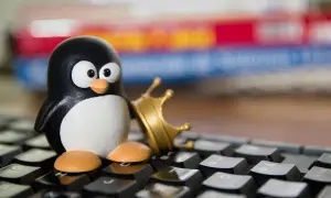 Figurka pingwina z koroną na klawiaturze, symbolizująca potęgę **linux multimedia studio**.