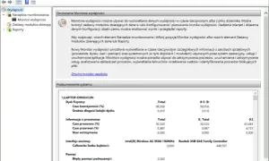 Monitor wydajności systemu Windows. Widok podsumowania systemu z danymi o dysku fizycznym, procesorze, interfejsie sieciowym i pamięci.