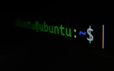 Terminal Ubuntu z zielonym tekstem "ubuntu@ubuntu:~$" - gotowy do konfiguracji własny serwer poczty.