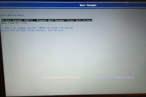 Ekran wyboru opcji rozruchu, widoczny jest menedżer rozruchu UEFI.