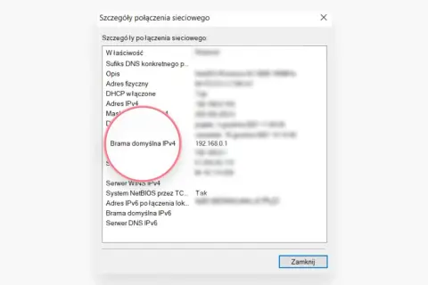 Szczegóły połączenia sieciowego: Brama domyślna IPv4 to 192.168.0.1, adres ip routera.