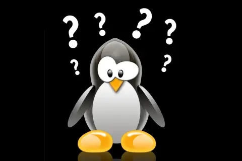 Pingwin z Linuksa otoczony znakami zapytania. Czy potrzebuje linux antivirus?