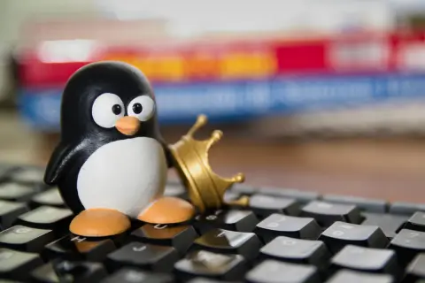 Figurka pingwina z koroną na klawiaturze, symbolizująca potęgę **linux multimedia studio**.