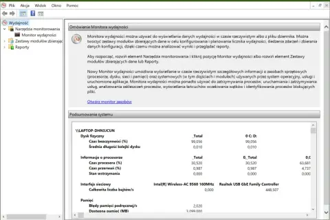 Monitor wydajności systemu Windows. Widok podsumowania systemu z danymi o dysku fizycznym, procesorze, interfejsie sieciowym i pamięci.