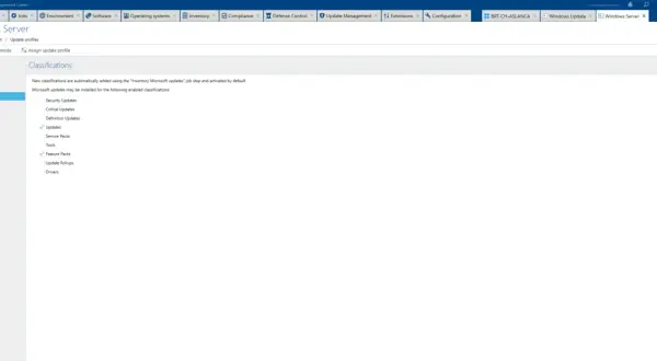 Zarządzanie aktualizacjami w Windows Server: zaznaczone "Updates" i "Feature Packs" dla efektywnego patch management.