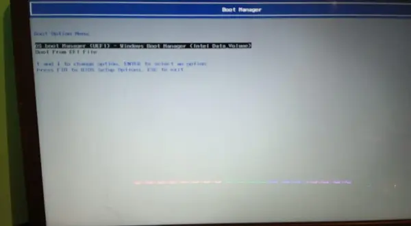 Ekran wyboru opcji rozruchu, widoczny jest menedżer rozruchu UEFI.