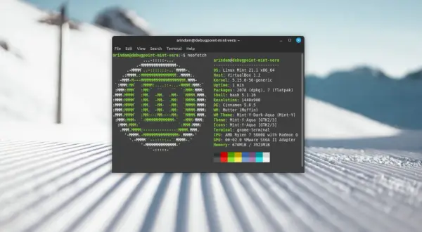 Terminal z informacjami o systemie Linux Mint 21.1, pokazujący szczegóły sprzętu i oprogramowania.