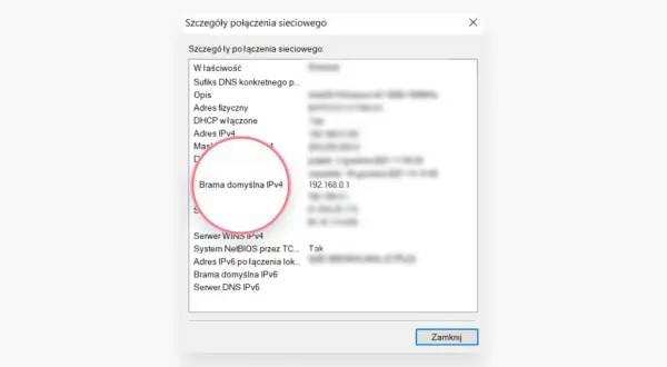Szczegóły połączenia sieciowego: Brama domyślna IPv4 to 192.168.0.1, adres ip routera.