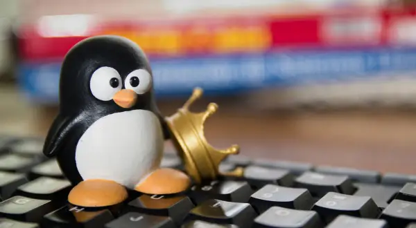Figurka pingwina z koroną na klawiaturze, symbolizująca potęgę **linux multimedia studio**.