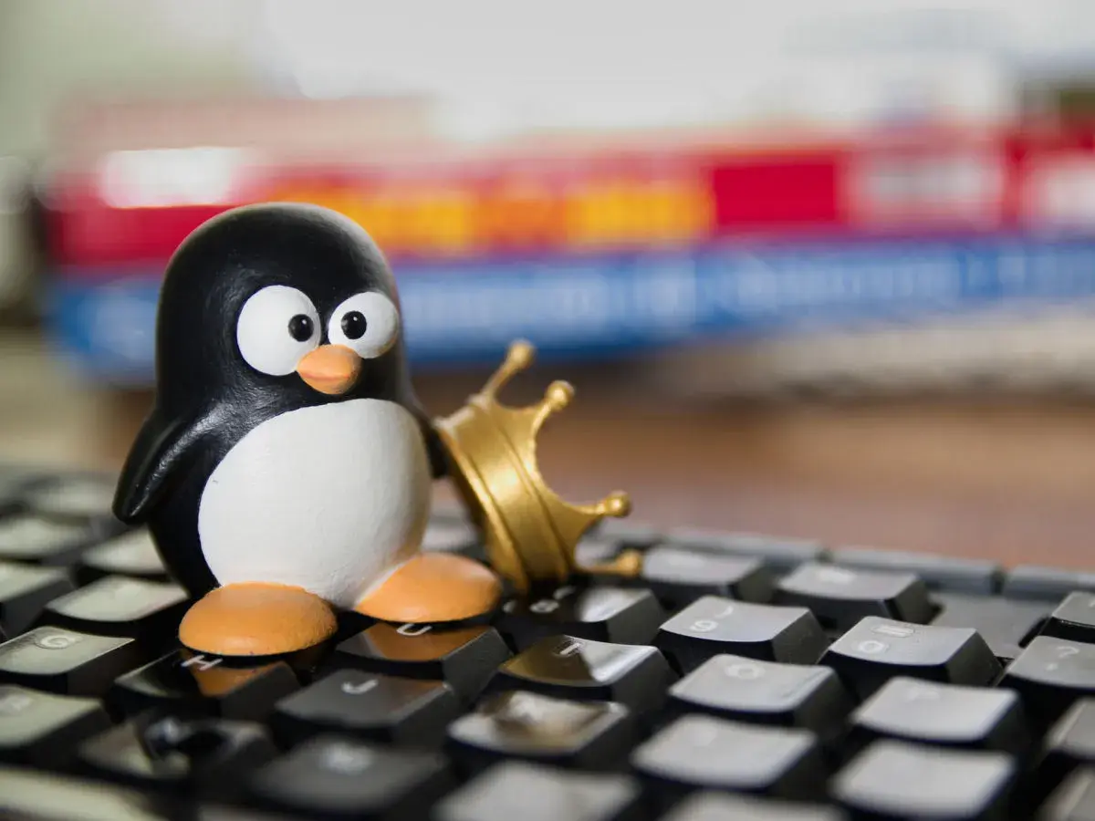 Figurka pingwina z koroną na klawiaturze, symbolizująca potęgę **linux multimedia studio**.