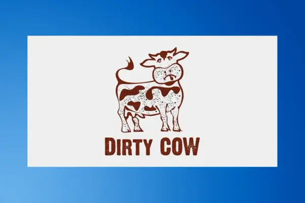 Brązowa krowa z plamami, z wyrazem twarzy sugerującym niechęć. Pod spodem napis "DIRTY COW".