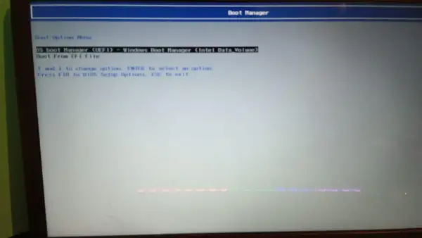Ekran wyboru opcji rozruchu, widoczny jest menedżer rozruchu UEFI.