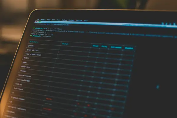 Na ekranie komputera widać listę projektów w terminalu. Tworzenie trudnych haseł to klucz do bezpieczeństwa.