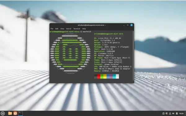 Terminal z informacjami o systemie Linux Mint 21.1, pokazujący szczegóły sprzętu i oprogramowania.
