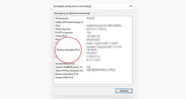 Szczegóły połączenia sieciowego: Brama domyślna IPv4 to 192.168.0.1, adres ip routera.